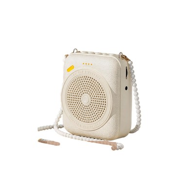 便利生活小物 小蜜蜂 擴音器 大功率擴音機 教師上課專用喇叭 揚聲器 2000mAh容量 Type-C連接 15W大功率 電量顯示