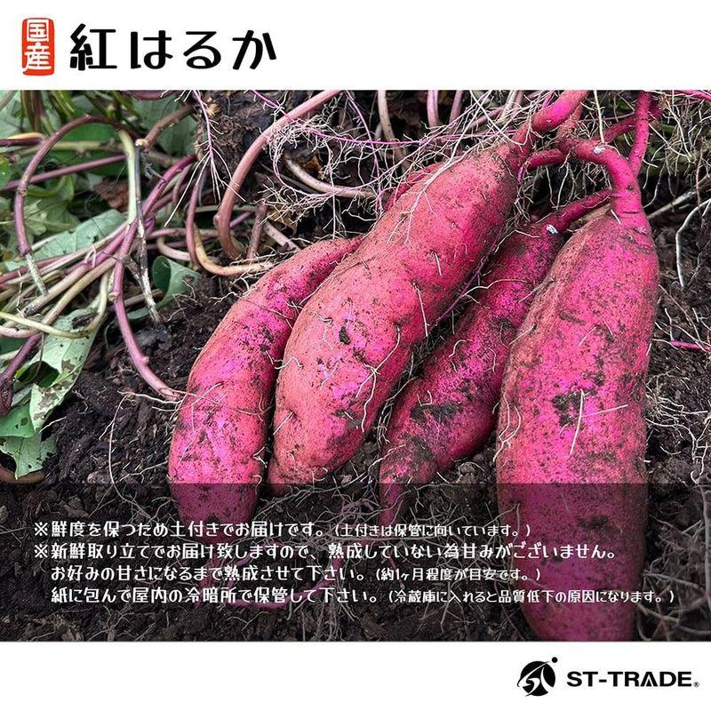 紅はるか5ｋｇ採れたて 国産サツマイモ さつまいも サツマ芋 さつま芋 土付きでお届け サイズお任せ 焼き芋 スイートポテト 大学芋 天ぷら