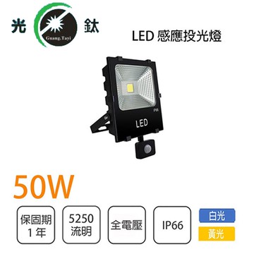 熱感應 投光燈 LED 50W 探照燈 投射燈 全電壓 白光/黃光 永光照明EW3-LED-50W-%-EU-1