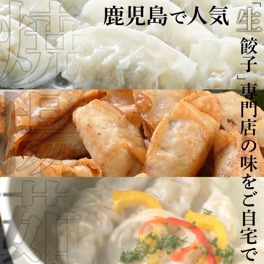 餃子 ぎょうざ 冷凍 鹿児島 ビッグファイブ 黒豚 豚肉 送料無料 生餃子 無添加 