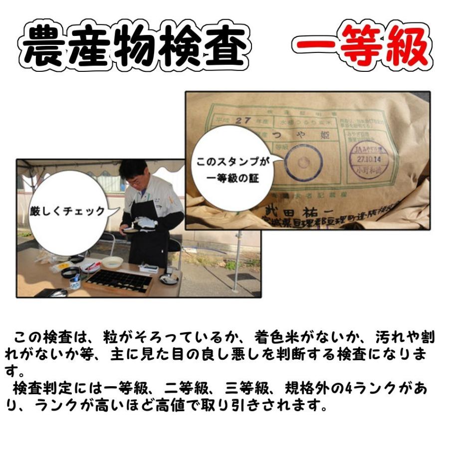 (送料無料)だて正夢 玄米20kg 新米 令和5年産(環境保全米)農家直送