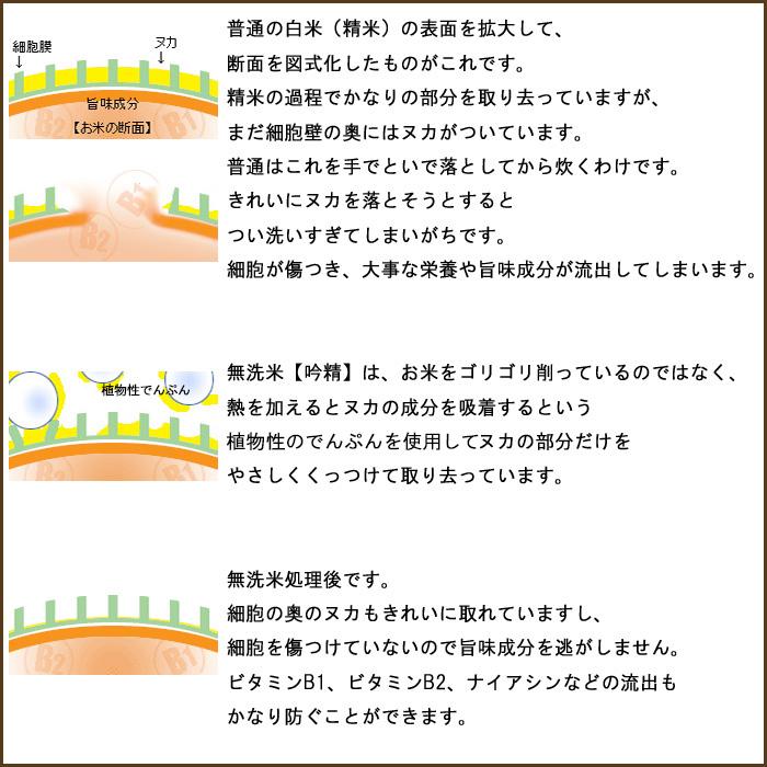 令和５年産　≪無洗米≫食べ比べ(魚沼産コシヒカリ・新潟産コシヒカリ)各2kg  送料無料(一部地域を除く)