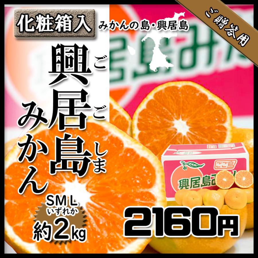 みかん お歳暮 贈答 興居島みかん 興居島 みかんの島より 美味しいみかん 約2ｋｇ 送料無料