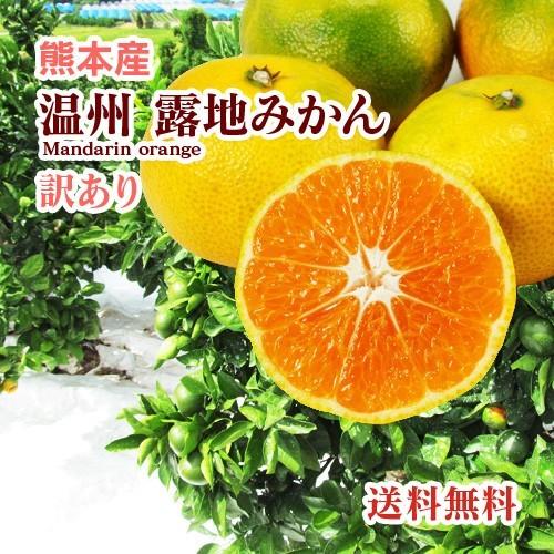 みかん 熊本産  訳あり サイズ混合 １０kg   送料無料 　九州 熊本 温州 早生 極早生 みかん 柑橘 ミカン こたつ 甘い