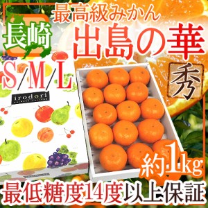 長崎産 ”出島の華” 秀品 S M Lサイズ 約1kg 化粧箱 味まる・味っ子の最上位等級 送料無料