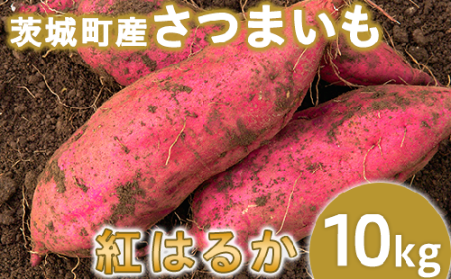 009-1茨城町産紅はるか10kg（さつまいも）