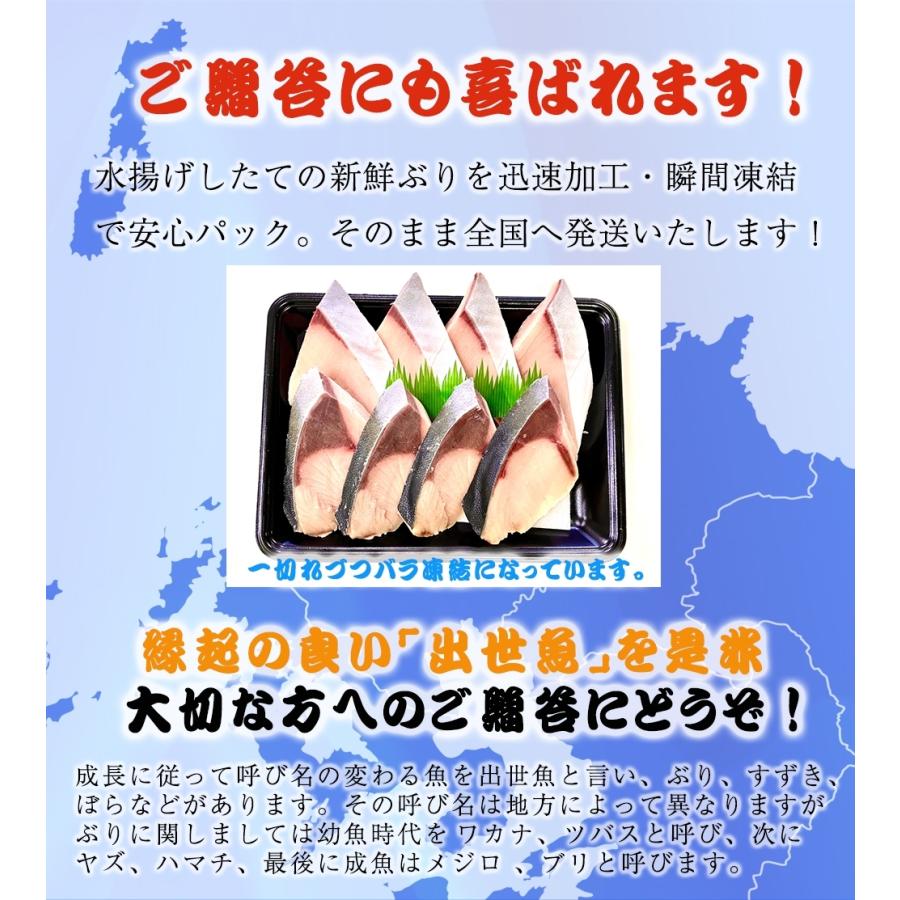 冷凍 寒ブリ切身 厚切 8切 ぶり 鰤 照焼き 塩焼き 在宅 在宅応援 お歳暮 ギフト