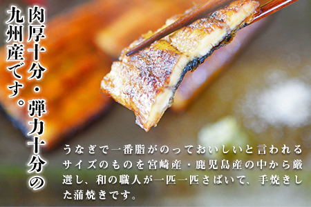 ＜職人手焼き九州産うなぎ 蒲焼き1尾（2切れ）計130g前後＞翌月末迄に順次出荷