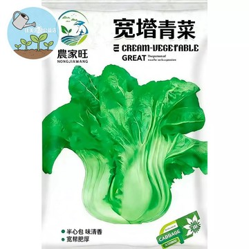 【原廠包裝】寬幫青菜種子 正宗台灣青江菜 小白菜種子 四季快收 耐熱耐寒 全年可種 家庭農場 陽台盆栽 有機種植