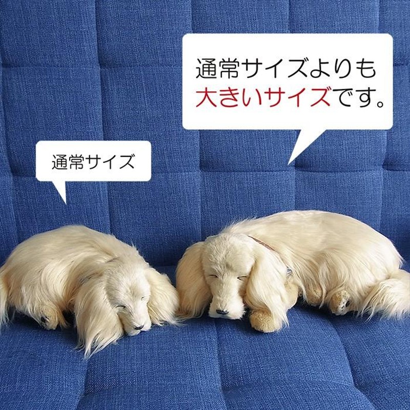 ニニアンドキノ パーフェクトペット (大サイズ) ダックス ロング (クリーム) ぬいぐるみ 犬 いぬ イヌ リアル 本物 そっくり ダックスフンド  ダックスフント 雑 | LINEブランドカタログ