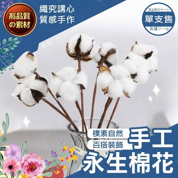 【隔日送達🚀】手工永生棉花 棉花頭 永生花 乾燥花 手作花束 永生 永生花材料 永生花材  棉花桿 單枝棉花頭