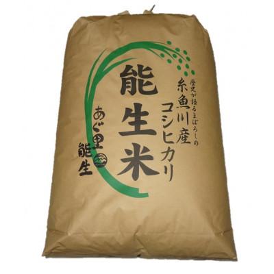 ふるさと納税 糸魚川市 令和5年産 能生米コシヒカリ 玄米30kg