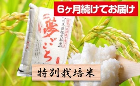 特別栽培米★[定期便] 6カ月★毎月 精米10kg（白米 7分 5分ツキ可）　玄米は別に出品