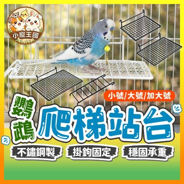 【小寵王國】鸚鵡爬梯站台 攀爬站架 不銹鋼鳥站台 鸚鵡跳臺 休憩站架 掛籠站台 鸚鵡跳架 不鏽鋼爬梯 籠內配件 寵物用品
