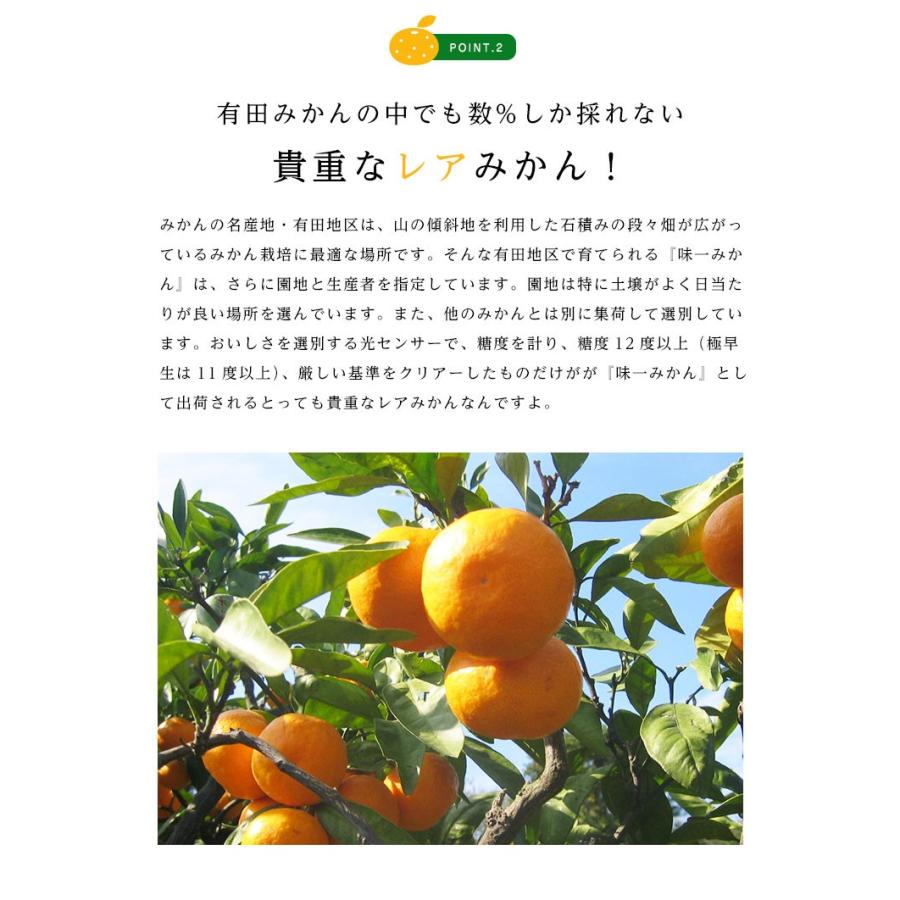 送料無料 和歌山県産 有田 味一みかん Sサイズ 約2.5kg 小玉 糖度 小粒 みかん 送料無料