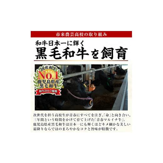 ふるさと納税 鹿児島県 いちき串木野市 C-176 金の桜黒豚簡単調理丼セット3種（レンジ対応）