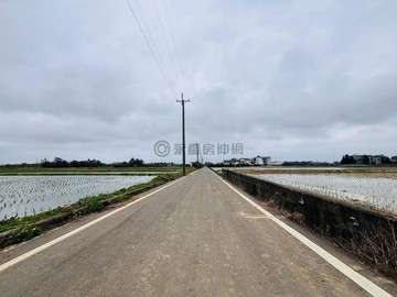 獨家~新豐福興段臨路方正美農地｜新竹縣新豐鄉十一股