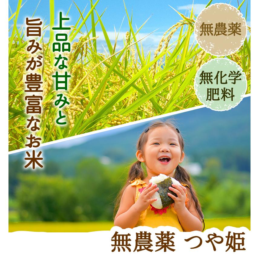 無農薬 玄米 米 3kg 無農薬 つや姫 令和5年宮城県産 新米入荷 送料無料 無農薬・無化学肥料栽培