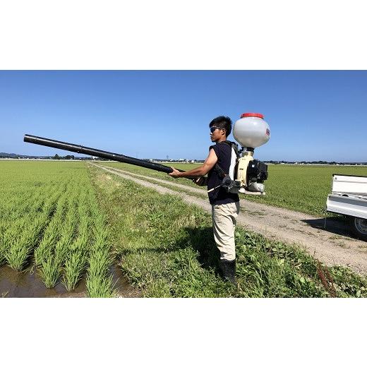 ふるさと納税 山形県 三川町 ecofarmすがわら特別栽培米ひとめぼれ10kg×6回