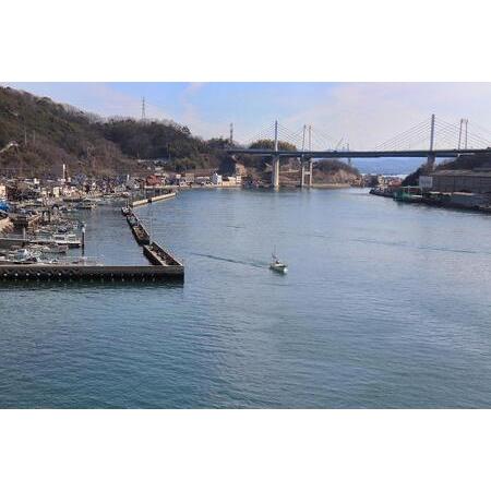 ふるさと納税 天然真鯛の塩焼き 5尾 〜お祝い・お食い初め等におすすめ〜 広島県尾道市