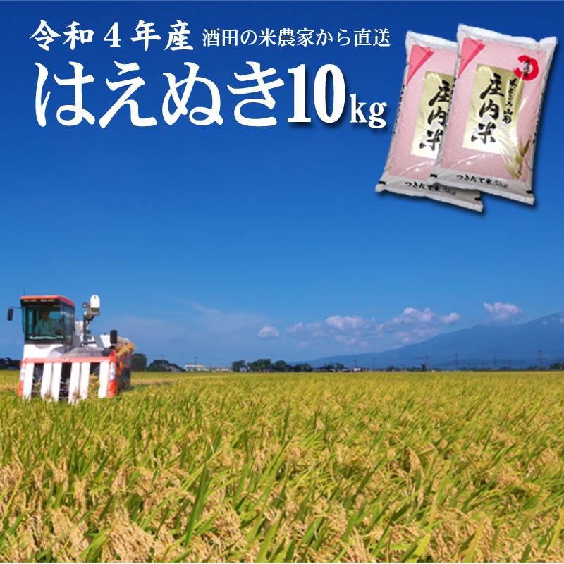 農家のお米直送 令和5年産 はえぬき（精米） 10kg