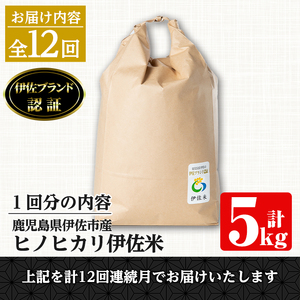 isa500 伊佐米 ヒノヒカリ＜計60kg・5kg×全12回＞ 鹿児島 国産 伊佐米 お米 米 こめ コメ ひのひかり 白米 精米 ごはん ご飯 定期便