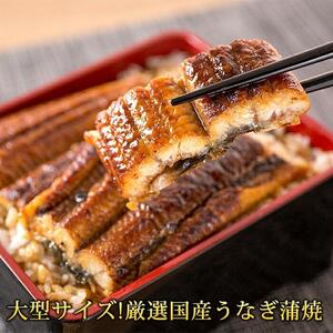 お魚のバラエティ定期便  （塩サバ・甘口塩銀鮭切身・うなぎ蒲焼）