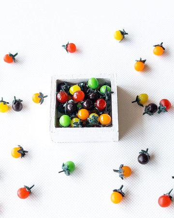 30個微型彩色迷你西紅柿微型食品