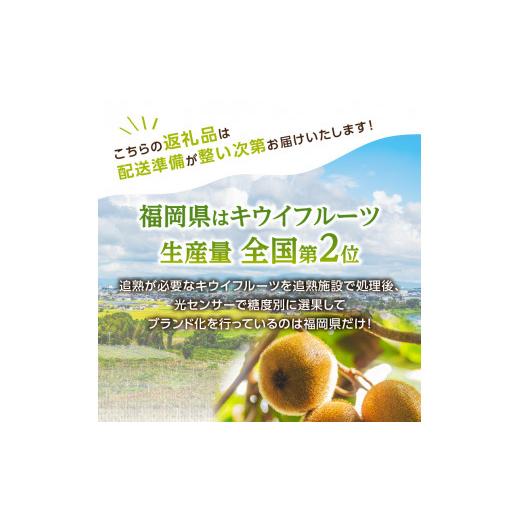 ふるさと納税 福岡県 八女市 博多甘熟娘（うれっこ）キウイ3.6kg｜ＪＡふくおか八女