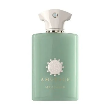 AMOUAGE 綠香之洲 100ml