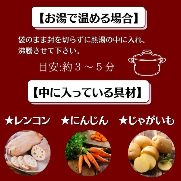 北海道産 甘えび 出汁 使用 濃厚 スープカレー 10袋セット レトルト 甘えび 海老 えび カレー Mashike Soup Curry お得セット