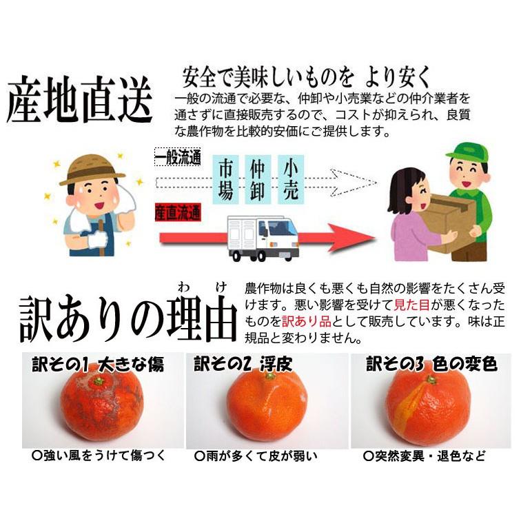 ＼12月販売／香川産 訳あり紅みかん香川産 訳あり紅みかん 2ｋｇ［2つから送料無料♪（北海道・沖縄除く）］