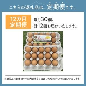 ふるさと納税 ☆彡12か月定期便☆彡　北杜のたまご（30個入） 山梨県北杜市