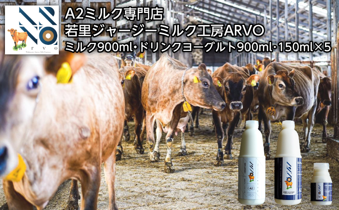 ジャージー牛 A2ミルク 900ml×1本・ドリンクヨーグルト 900ml×1本・150ml×5本 北海道 オホーツク 佐呂間町 ヨーグルト ドリンク 牛乳 乳飲料 乳製品 セット