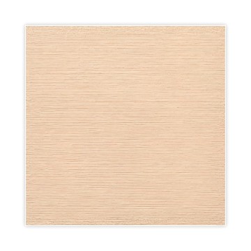 免膠吸附無痕拼接地墊  50 x 50cm 厚度5mm  米駝  1組