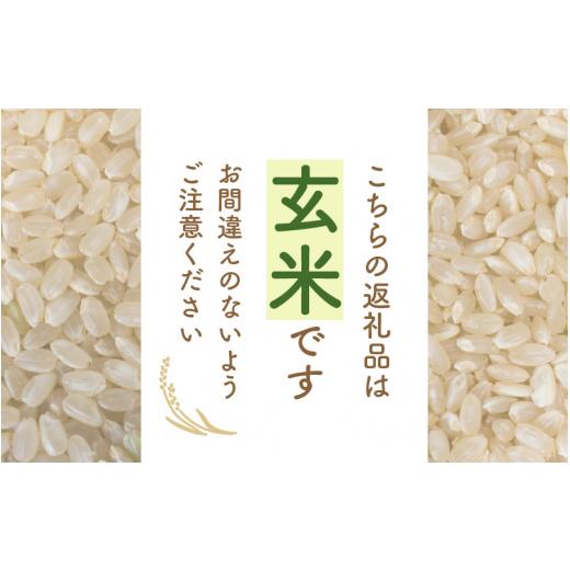 ふるさと納税 福井県 越前町 [e30-a041] あきさかり 3kg 令和5年 福井県産 コシヒカリ系統品種