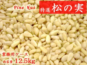 松の実 業務用12.5kg