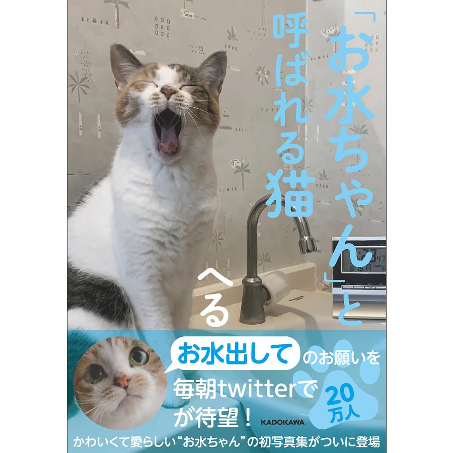 お水ちゃん と呼ばれる猫