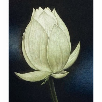 山地司、【蓮とカワセミ1】、希少な額装用画集より、厳選、新品