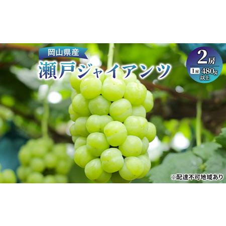 ふるさと納税 ぶどう 2024年 先行予約 瀬戸 ジャイアンツ 2房（1房480g以上） ブドウ 葡萄  岡山県産 国産 フルーツ 果物 ギフト 岡山県岡山市