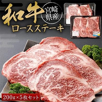 ふるさと納税 えびの市 ロースステーキ　200g×5枚セット