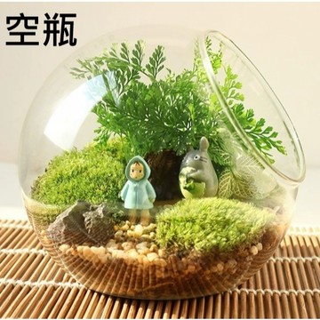 【李好微境】微景觀斜口玻璃瓶多肉DIY生態瓶 植物瓶 小花瓶苔蘚瓶植物造景斜口玻璃花瓶