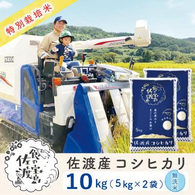 ふるさと納税 佐渡市 佐渡島産コシヒカリ 無洗米10Kg(5Kg×2袋) 特別栽培米