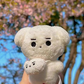 enhypen樸成訓昏噔衕人週邊娃娃公仔棉花娃娃玩偶掛