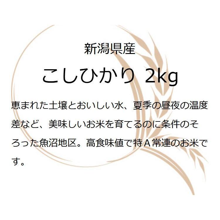 お米 ギフト 米 2kg 新潟県魚沼産こしひかり コシヒカリ 2キロ 新潟県産 令和5年産 新米 食べ物 食品 入学内祝い 引っ越し 挨拶 名入れ プレゼント