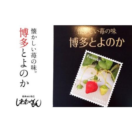 ふるさと納税 いちご職人 白木のいちご「しあわせもん」 とよのか 化粧箱 1箱 福岡県小郡市