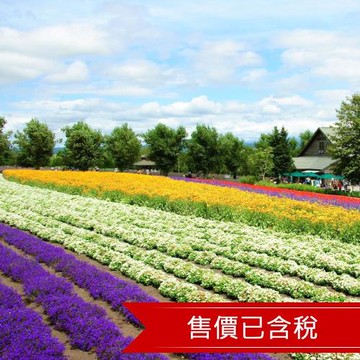 暑假~限定北海道全程無自理餐函館千萬夜景.富良野花田.浪漫小樽.四晚溫泉五日｜保住一晚五星_25ITHKDVV8