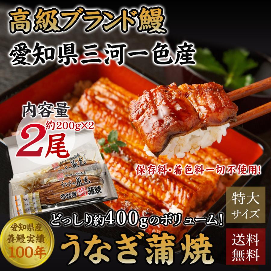 鰻 うなぎ ウナギ 国産 高級 三河一色産 蒲焼き 約400g (約200g×2尾) ｜ギフト｜贈答｜特大｜国産｜三河一色｜蒲焼｜愛知県｜土用の丑｜敬老の日