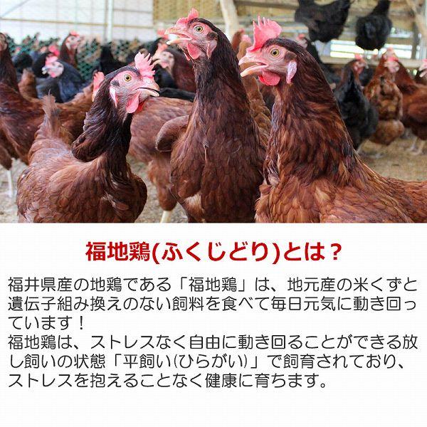 福地鶏のふくたまご25個(規格外55g以下) 福井県の平飼い地鶏卵 産地直送 テトテヲ