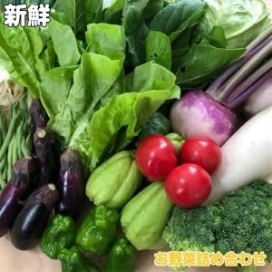 ふるさと納税 野菜 8種類程度 お米 2kg セット 詰め合わせ 季節 新鮮 産地直送 高知県 須崎市 高知県須崎市